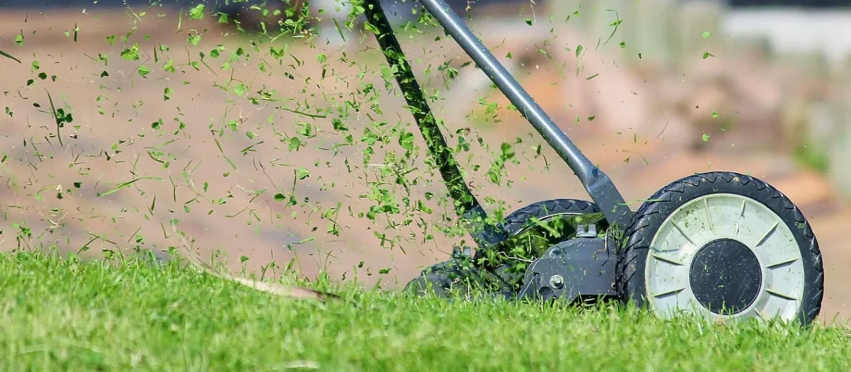 Kosiarka do trawy Stihl — jak zadbać o idealny trawnik przy domu
