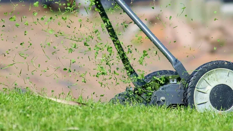 Kosiarka do trawy Stihl — jak zadbać o idealny trawnik przy domu