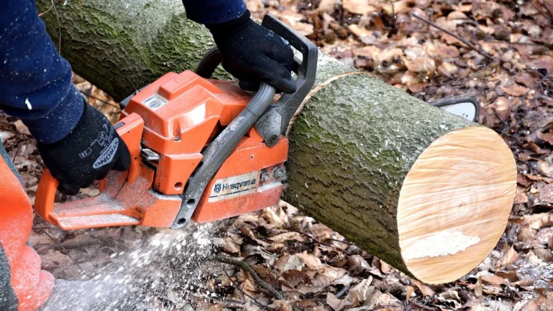 Pilarka spalinowa Stihl — niezbędna pomoc w pracach ogrodowych