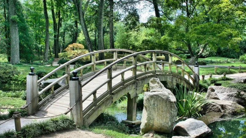 Trendy w projektowaniu ogrodów na nadchodzący sezon
